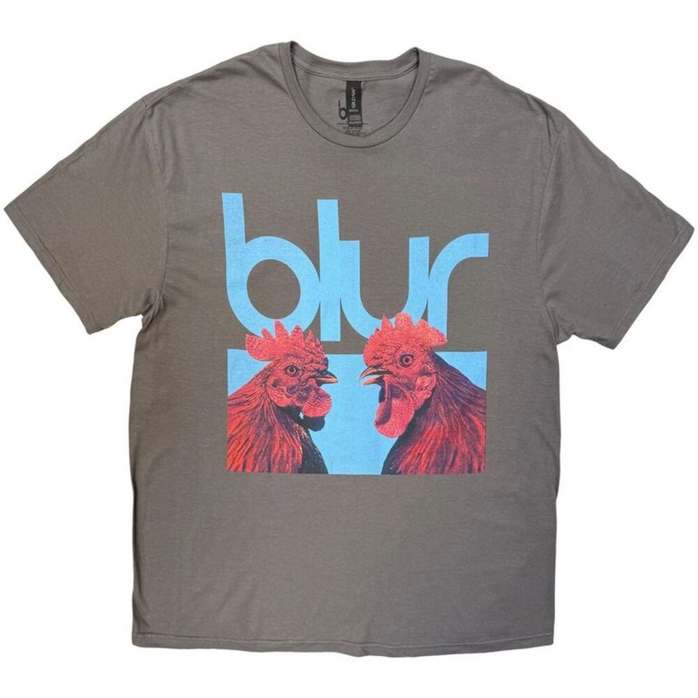 Blur Unisex Adult Hens Teeth T-Shirt / Charcoal Grey